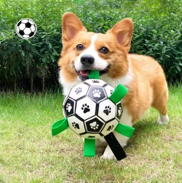 Pet Football Toy