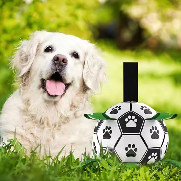 Pet Football Toy