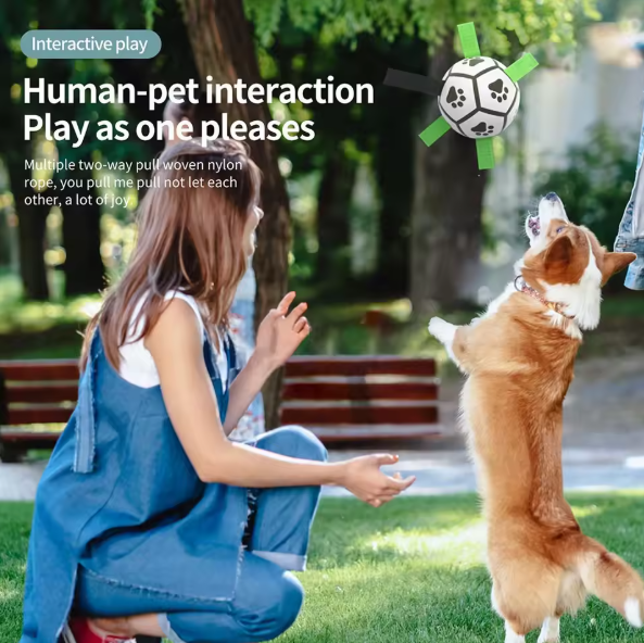 Pet Football Toy