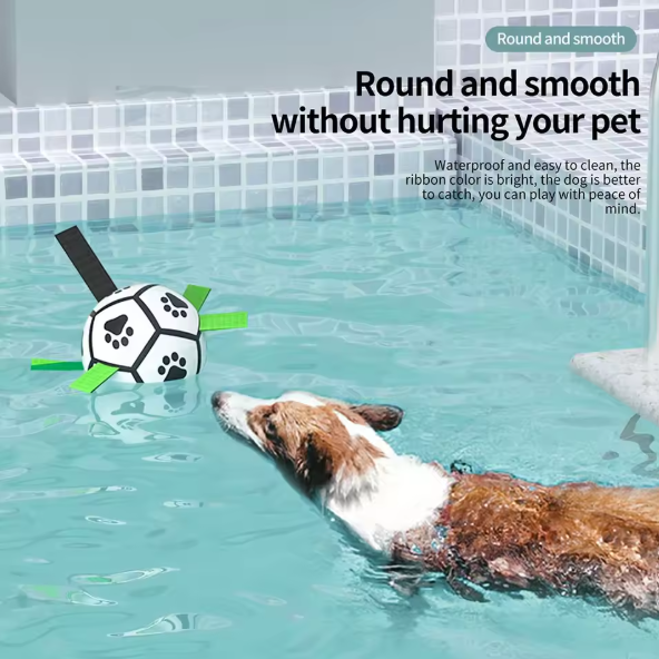 Pet Football Toy
